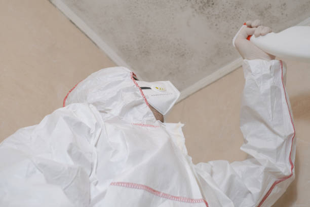 Best Mold Testing and Inspection Services in Lapwai, ID